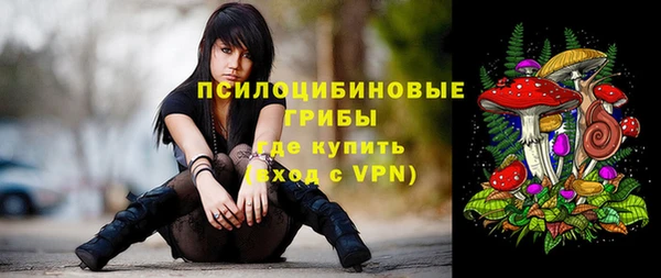 дмт Абинск